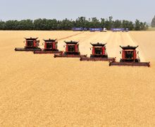 Миколаївщина намолотила 2 млн тонн зерна